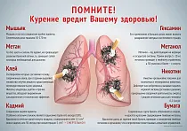 Плакат о вреде курения (А2) (594х420; Пластик ПВХ 4 мм, ПЭТ, алюминиевый профиль)